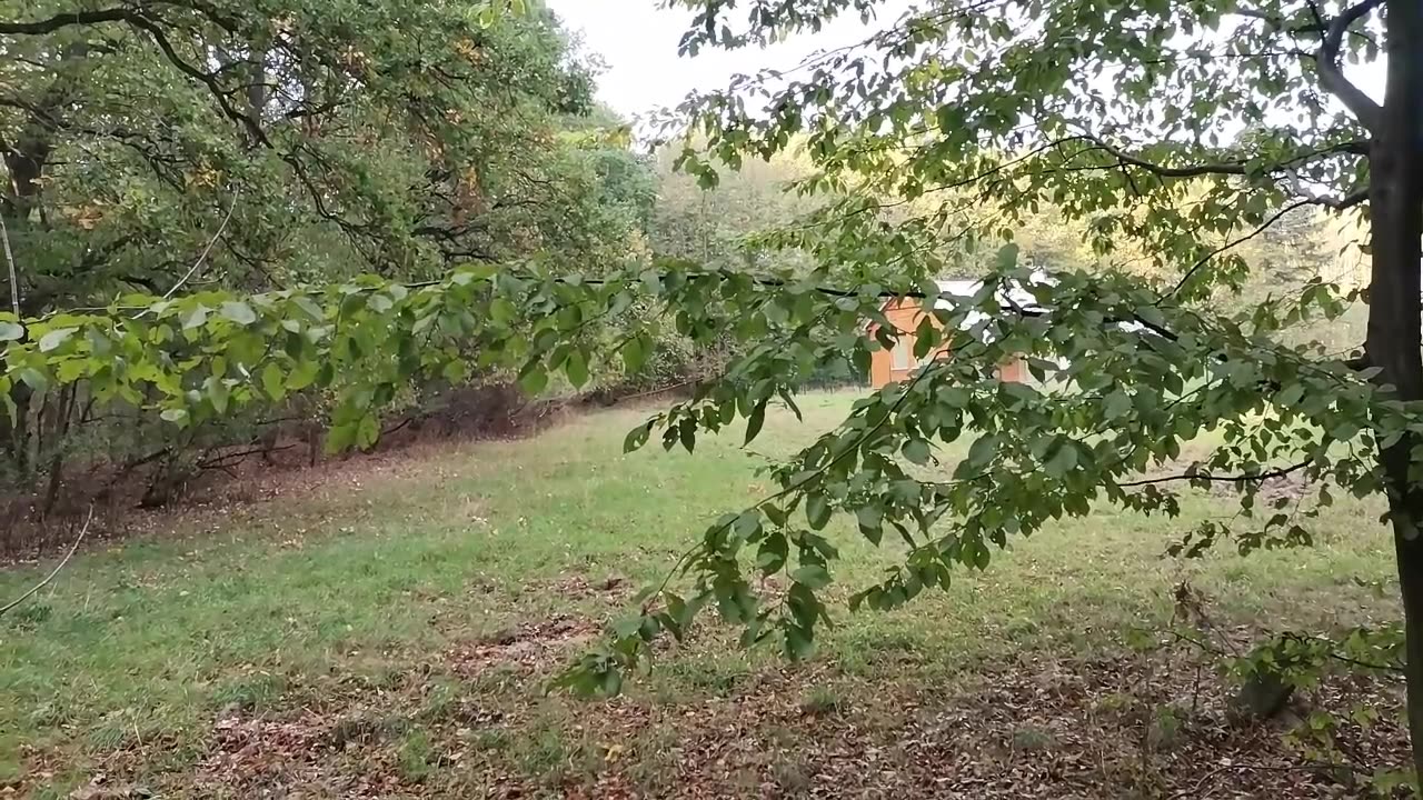 podpowiedź ...