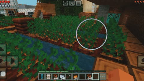 Potato farm in Minecraft Game