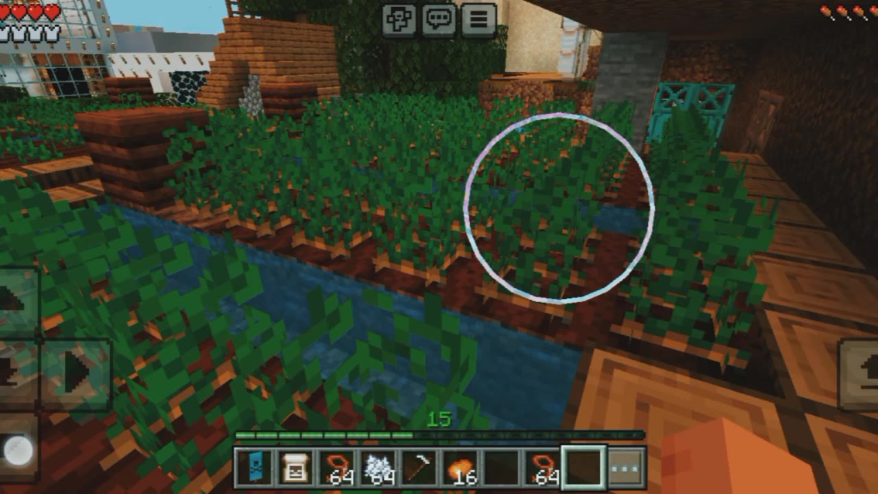 Potato farm in Minecraft Game