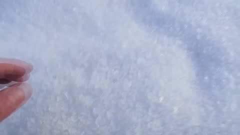 Diario Di Bordo (29 Dicembre 2023) [XII°]