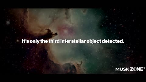 Elon Musk Fan Zone - Tell Your Family To PREPARE! - Elon Musk Stuns Joe Rogan