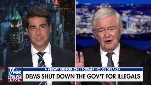 Newt Gingrich This shutdown may be the dumbest strategy in a while.