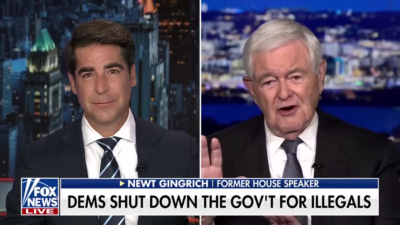 Newt Gingrich This shutdown may be the dumbest strategy in a while.