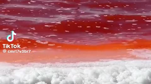 Scientists announce the appearance of blood-red waterfalls around the world