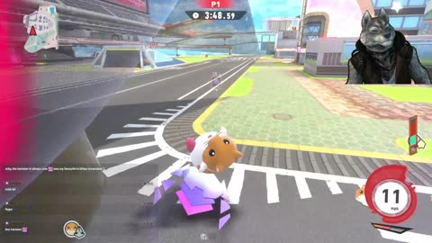 Stream 336: Playing Kirby Air Riders