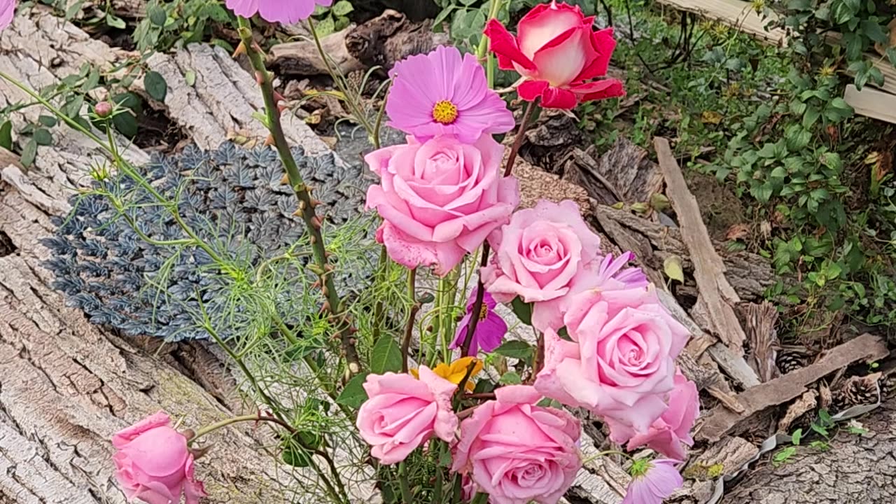 A Floral selection at the base of Clematis Regime Fortifications