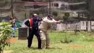 😂🦭 You Won't Believe What Happens When These Seals Get Gravy! | FunFM