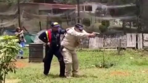 😂🦭 You Won't Believe What Happens When These Seals Get Gravy! | FunFM