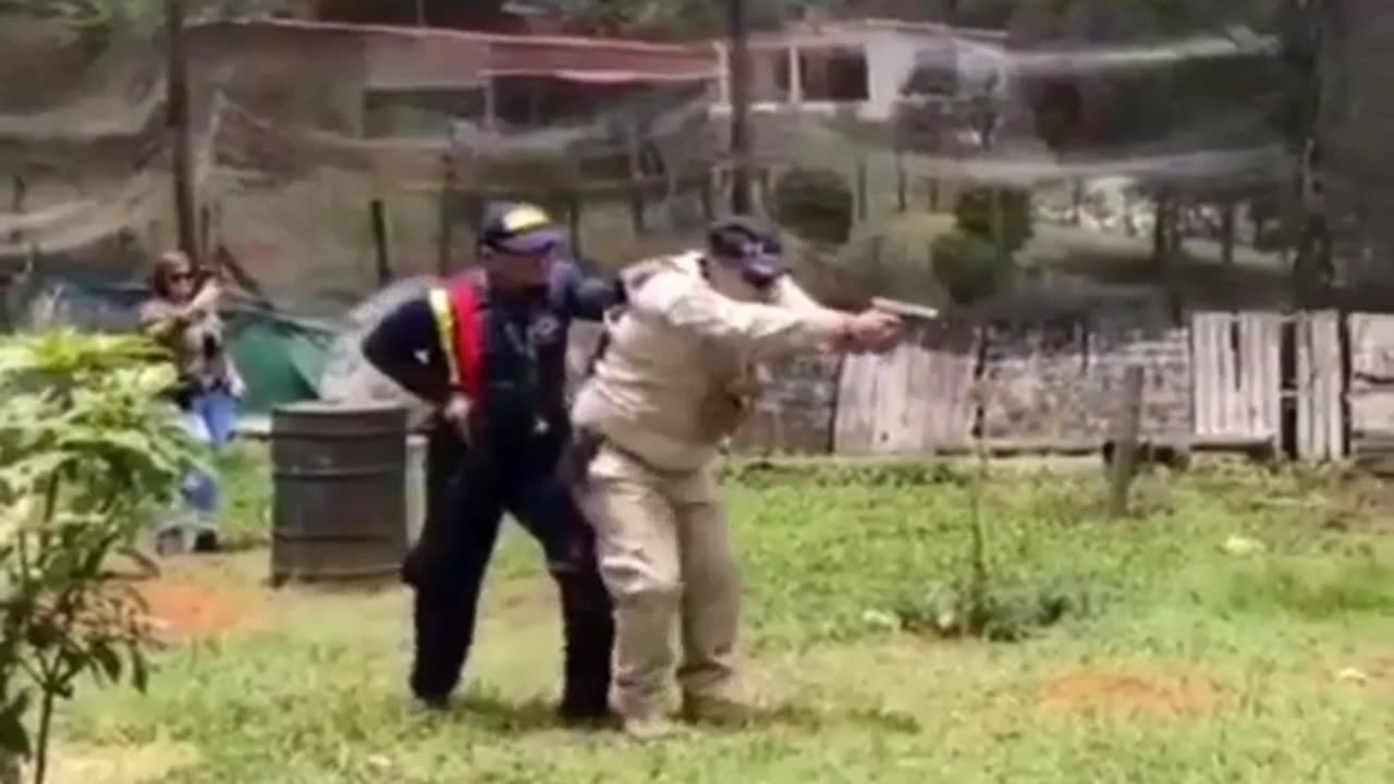 😂🦠You Won't Believe What Happens When These Seals Get Gravy! | FunFM