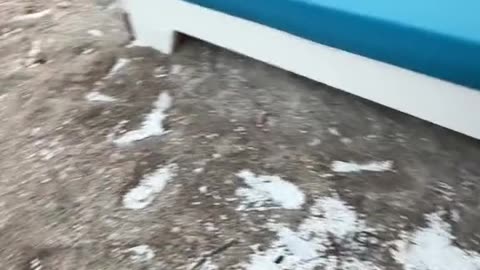 Influencerja publikon videon me plastikën kancerogjene që ka ‘pushtuar’ bregdetin shqiptar