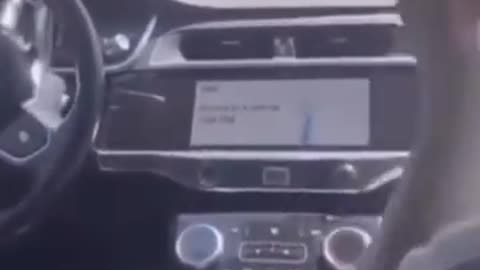 A Self Driving Taxi, What Could Go Wrong？