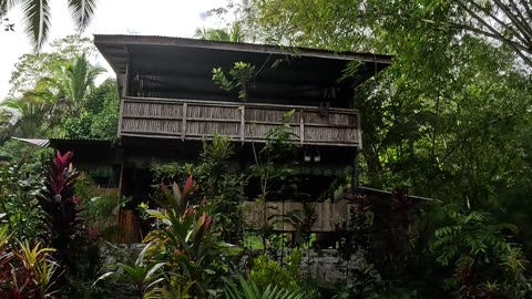 🌅 Philippines Farm Morning | Expat Life in the Province 🇵🇭🌾