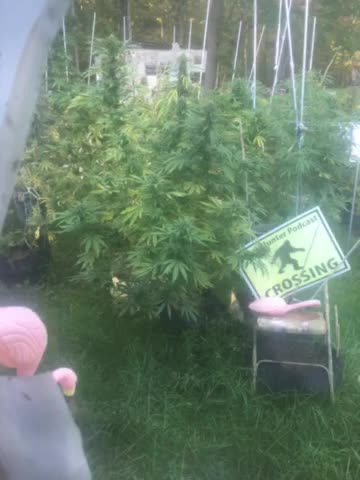 Derek Hunter WMAL 105.9 streaming worldwide making sense of the fake news