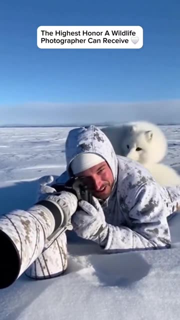 Лучшая награда, которую может получить фотограф