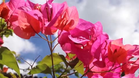 Real Estate SEO Online in Faridabad