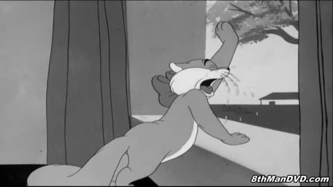 THE BIGGEST LOONEY TUNES (Over 10 Hours) CARTOONS COMPILATION (HD 1080p)