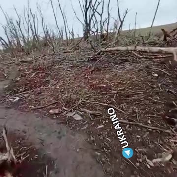 The crests, the dead and the rest, are running away.