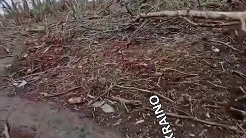 The crests, the dead and the rest, are running away.