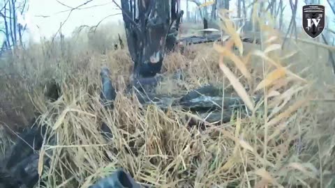 Ukrainian Scouts Moving Through Forested Area