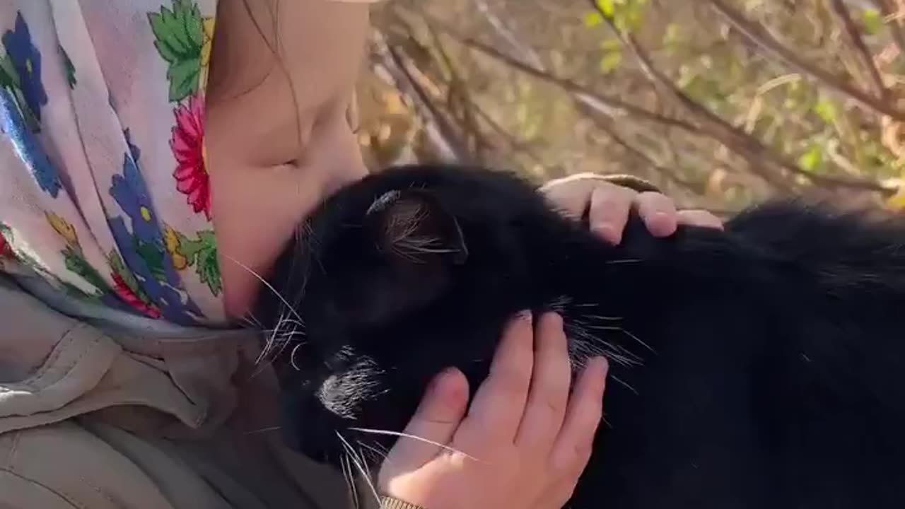 Two gentle souls meeting each other, that's beautiful ❤️