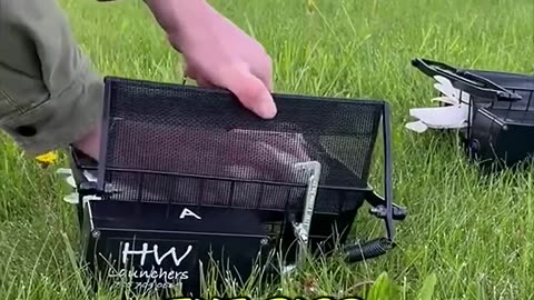 This Device Turns Birds Into Coaches