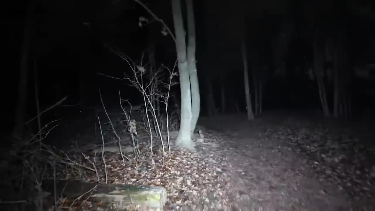 5 Most Disturbing Forest Encounters Caught on Camera – Dark Files | Midnight Tales (USA)