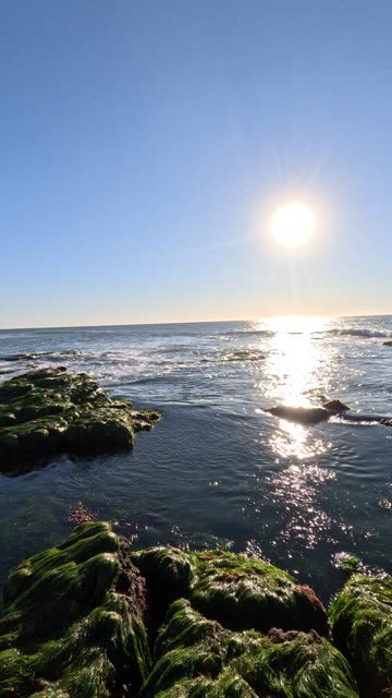 View 360 around Bird Rock Shoreline from Dec 5 2025