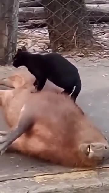 The best massages 😊