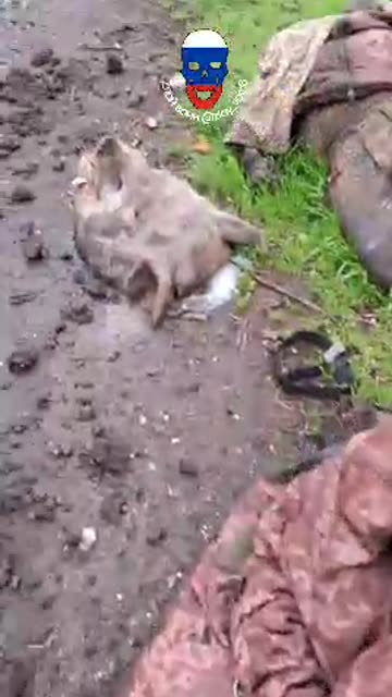 Ukraine war combat/related footage 12/30/25