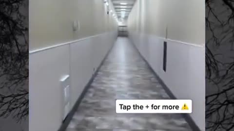🤫👻 What's This Spooky Secret? Uncovered! | TheHauntingHour