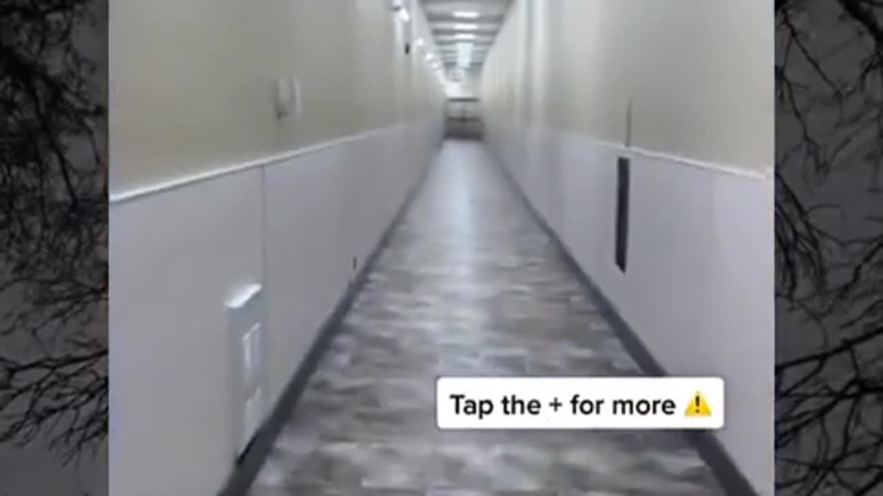 🤫👻 What's This Spooky Secret? Uncovered! | TheHauntingHour