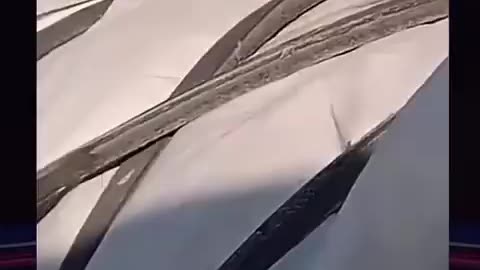 in Kazakhstan Broken Robot Pigeon caught on Camera with wires hanging out