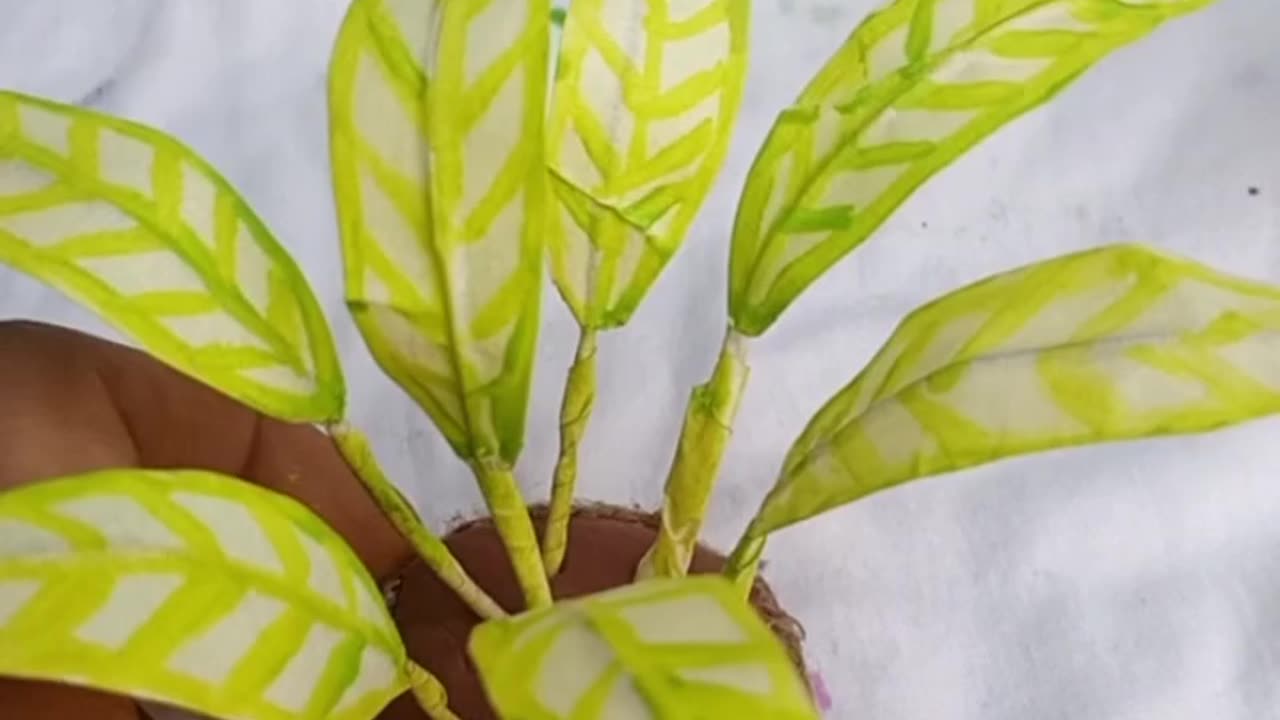 Miniature planter