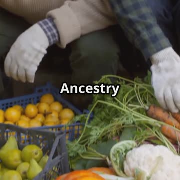 9 Veggies to Plant This Fall!