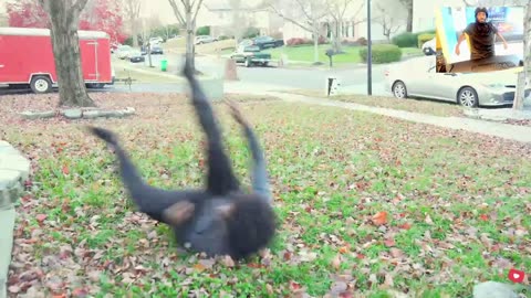 Uncle Eian So Raw reacting to ODAWG HOW TO SURVIVE A BLACK THANKSGIVING!