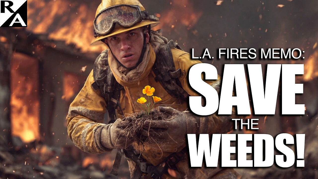 L.A. Fires Memo: Save the Weeds!