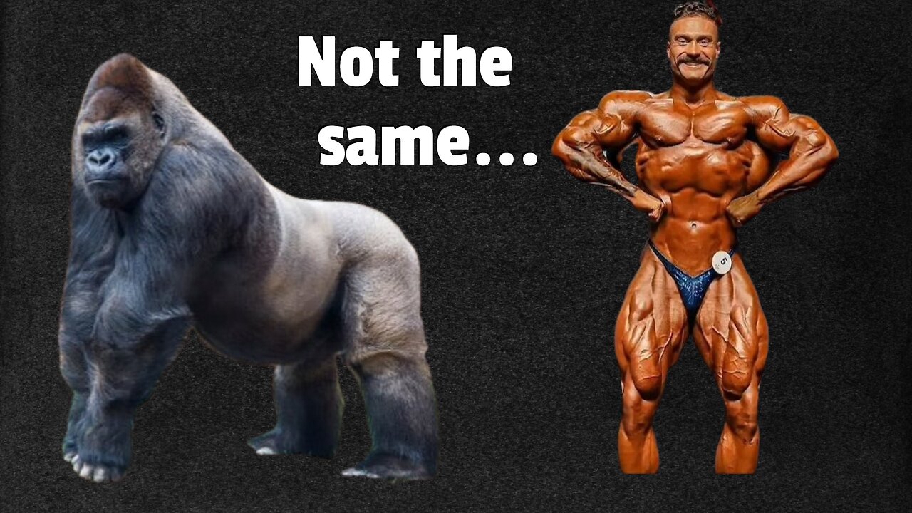 Alpha & beta VS Masculinity & Femininity