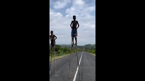 pernas de pal