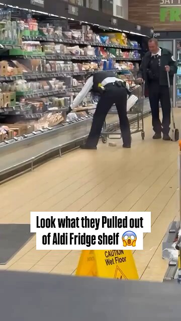 WHAT IS THAT A COYOTE?