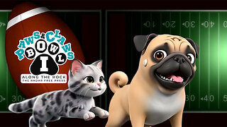 Paws and Claws Bowl Special Episode