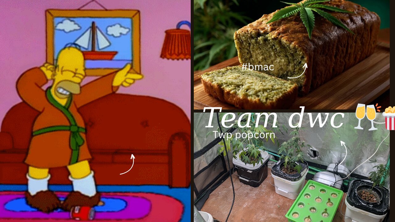 what's Poppin 🥂🍿