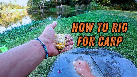 How to Rig for Carp: Fake Corn and Method Feeders Exposed