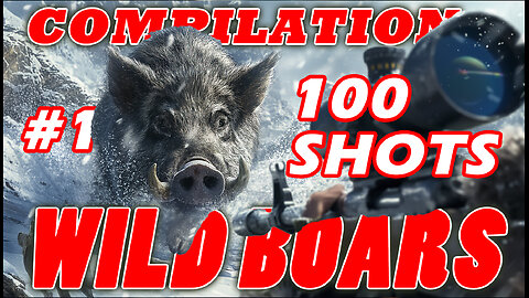 🎯Wild Boar 🐗100 shots compilation 1