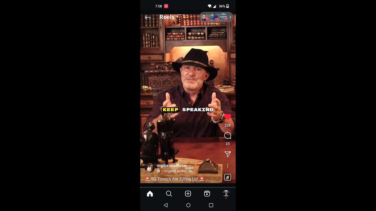 The Trees Are Being Wiped Out