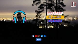 Skogpod 26. november 2025