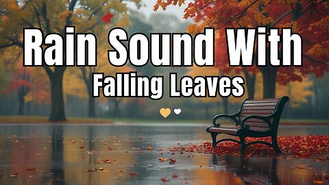 Autumn Rain Sounds with Falling Leaves – Calm and Relaxing Soundscape
