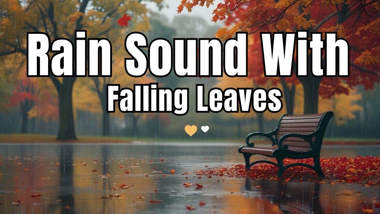 Autumn Rain Sounds with Falling Leaves – Calm and Relaxing Soundscape