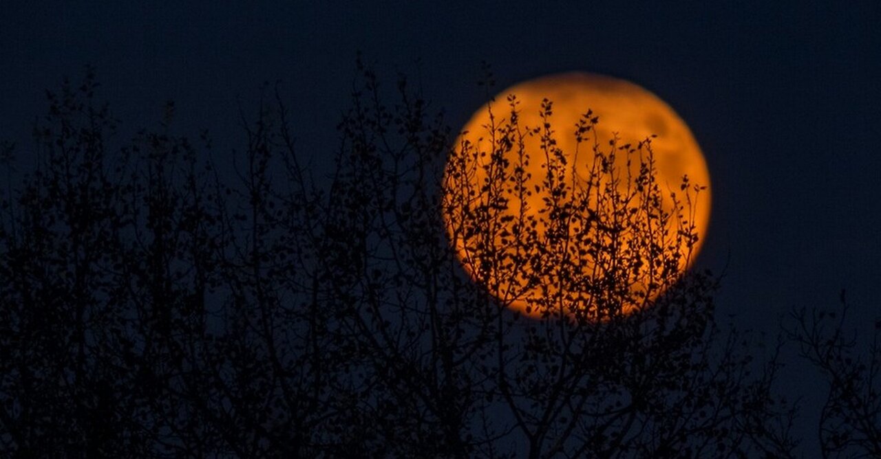 Halloween, a Biblical response to a modern controversy