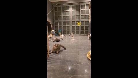 Hunter training!