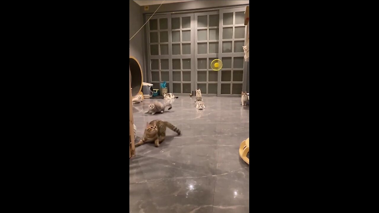 Hunter training!